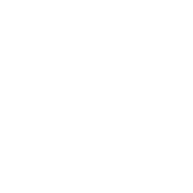 Discord Türkiye Logo Beyaz.png
