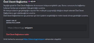 resim_2024-09-07_134430220.png