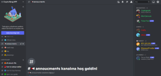 dc1.png
