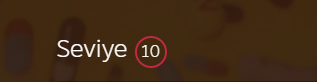 10seviye.PNG