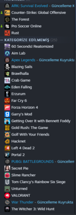 steam1.PNG