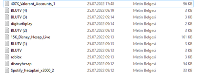 resim_2022-08-19_110110528.png