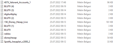 resim_2022-08-22_172802579.png