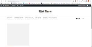 Ekran Alıntısı.PNG