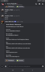 Screenshot_20230327-143636_Discord.jpg