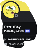 resim_2023-06-19_145837322.png