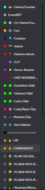 Ekran Alıntısı 3.PNG
