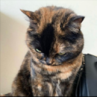 han
