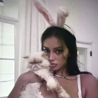 Dollscute