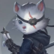 Ninja72Kedi