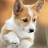 Erensi_28