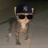 tavukpower