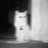 theREG